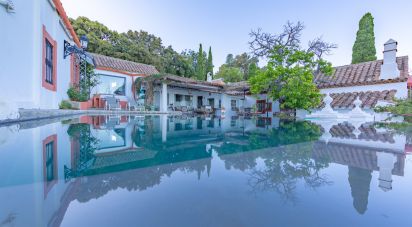 Hisenda / Cortijo 6 habitacions de 457 m² a Tarifa (11380)