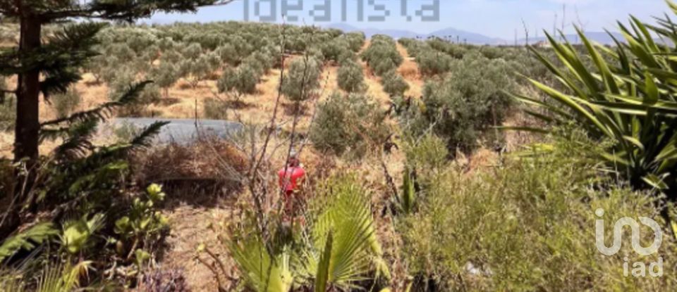 Maison 3 chambres de 295 m² à Alhaurín el Grande (29120)