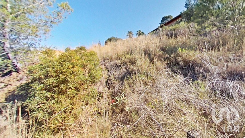 Terreny urbà de 953 m² a Almoster (43393)