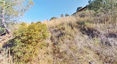 Building plot of 953 m² in Almoster (43393)