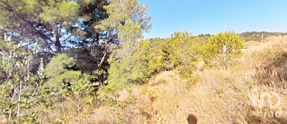 Terreny urbà de 953 m² a Almoster (43393)