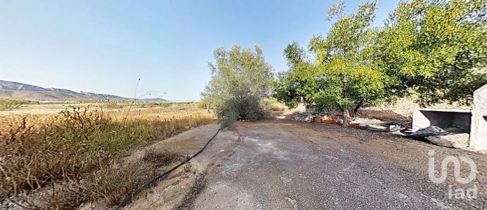 Châlet 3 chambres de 142 m² à Hondón de los Frailes (03689)