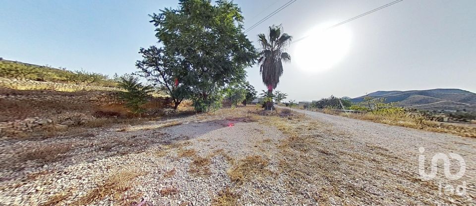 Châlet 3 chambres de 142 m² à Hondón de los Frailes (03689)