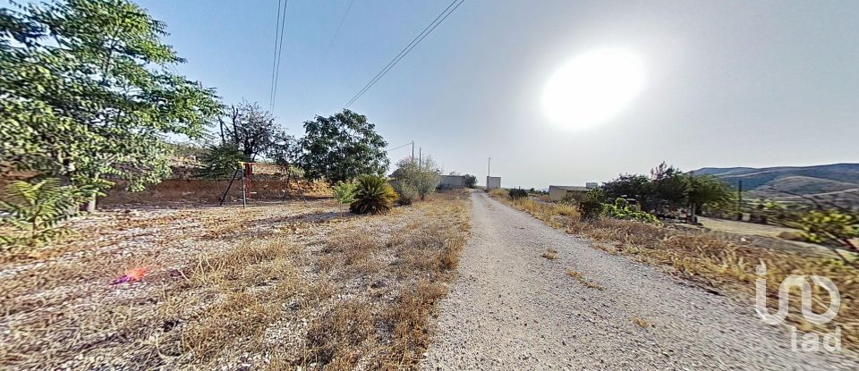 Châlet 3 chambres de 142 m² à Hondón de los Frailes (03689)