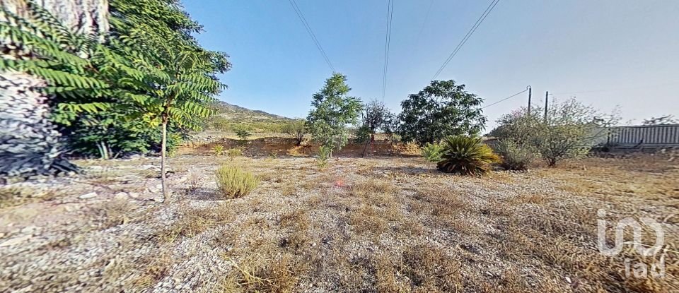 Châlet 3 chambres de 142 m² à Hondón de los Frailes (03689)