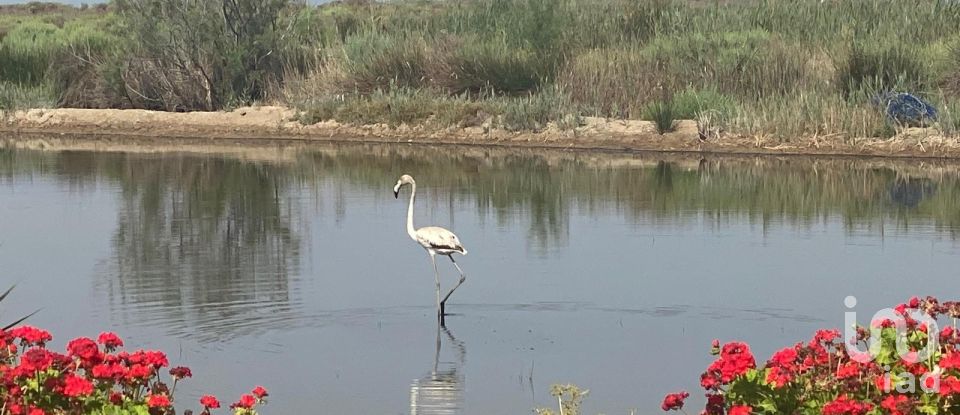 Casa 2 habitacions de 140 m² a El Poble Nou del Delta (43549)