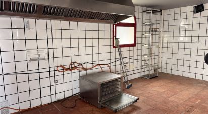 Shop / premises commercial of 221 m² in Les Planes d'Hostoles (17172)