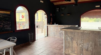 Shop / premises commercial of 221 m² in Les Planes d'Hostoles (17172)