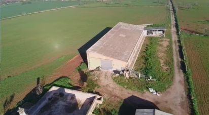 Other surface of 450 m² in Campos (07630)