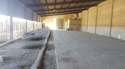 Other surface of 450 m² in Campos (07630)