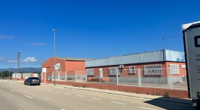 Other surface of 1,500 m² in Vinaros (12500)