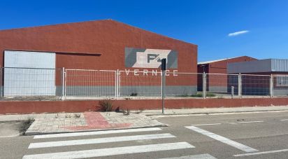 Other surface of 1,500 m² in Vinaros (12500)