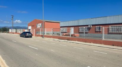 Other surface of 1,500 m² in Vinaros (12500)