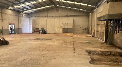 Other surface of 1,500 m² in Vinaros (12500)