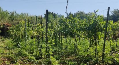 Terreno de 595 m² en Vigo (36313)