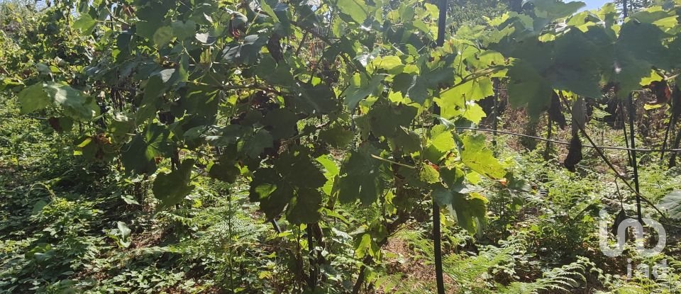 Terreno de 595 m² en Vigo (36313)