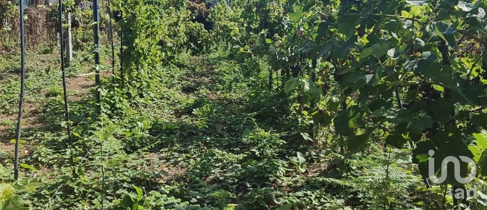 Terreno de 595 m² en Vigo (36313)