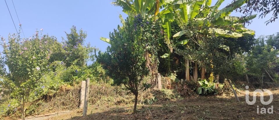 Terreno de 595 m² en Vigo (36313)