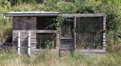 Land of 779 m² in Pontons (08738)