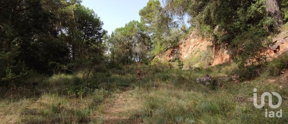Land of 779 m² in Pontons (08738)