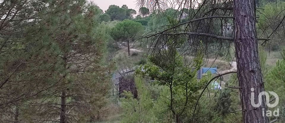 Land of 779 m² in Pontons (08738)