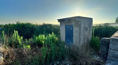 Farm land of 6,005 m² in Pego (03780)