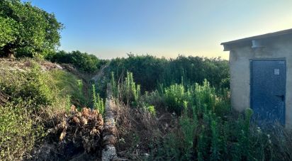 Farm land of 6,005 m² in Pego (03780)