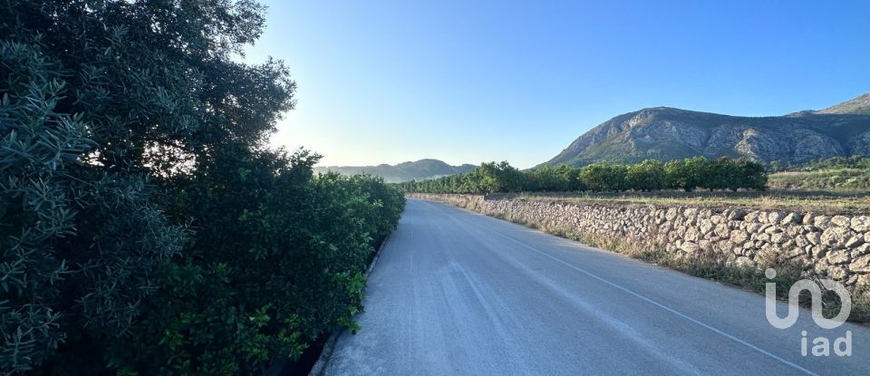 Terreny agrícola de 6.005 m² a Pego (03780)