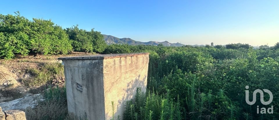 Terreny agrícola de 6.005 m² a Pego (03780)