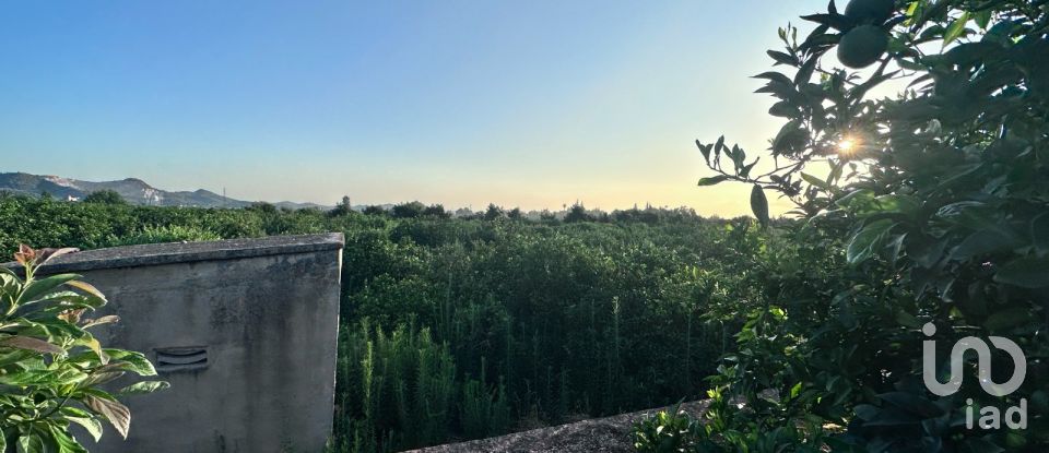 Terreny agrícola de 6.005 m² a Pego (03780)