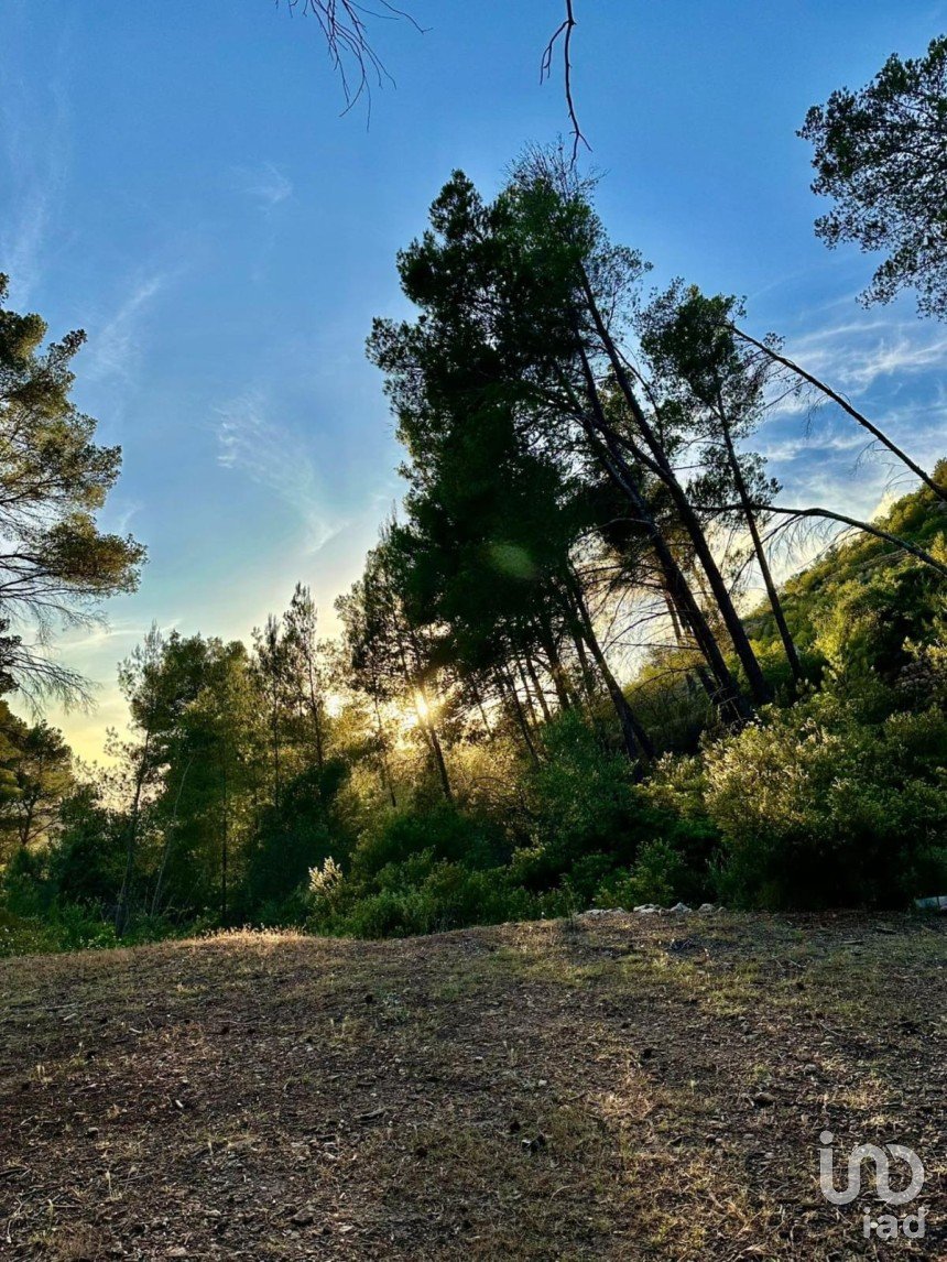 Land of 15,000 m² in Andratx (07150)