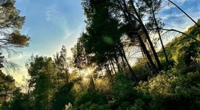 Land of 15,000 m² in Andratx (07150)