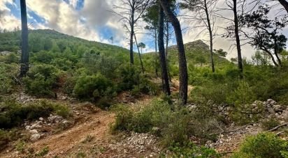 Land of 15,000 m² in Andratx (07150)