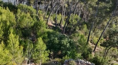 Land of 15,000 m² in Andratx (07150)