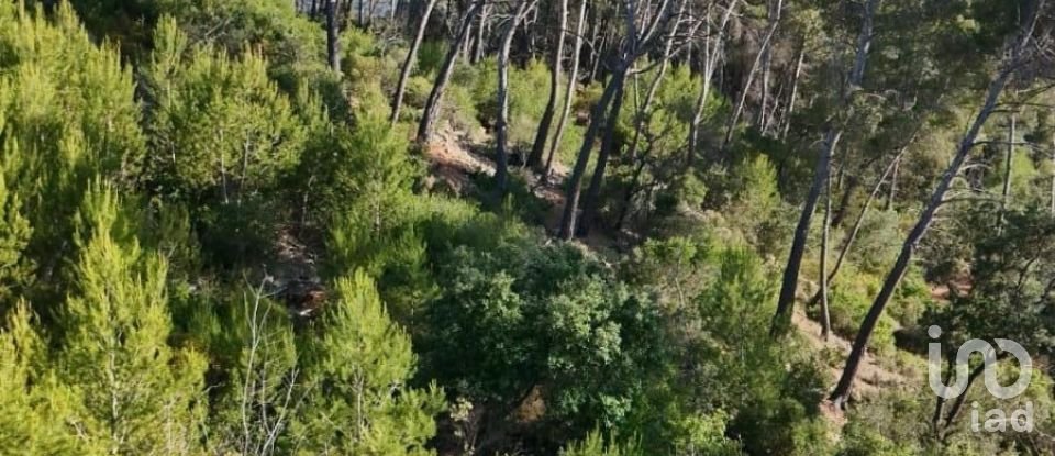 Land of 15,000 m² in Andratx (07150)