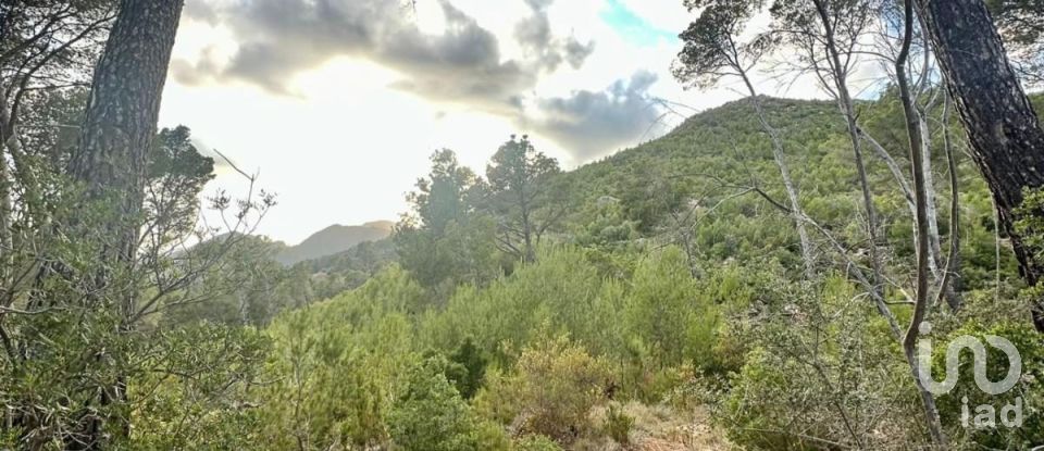 Land of 15,000 m² in Andratx (07150)