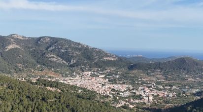 Land of 15,000 m² in Andratx (07150)