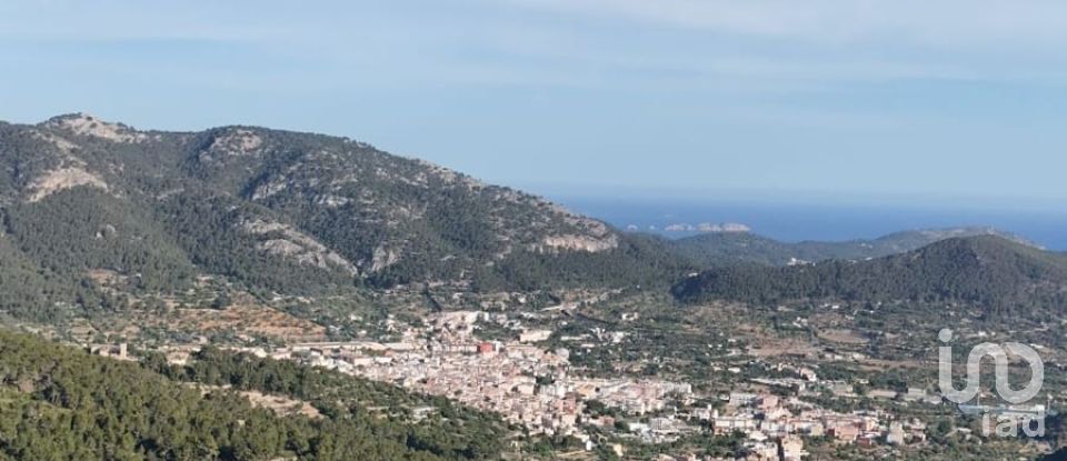 Land of 15,000 m² in Andratx (07150)