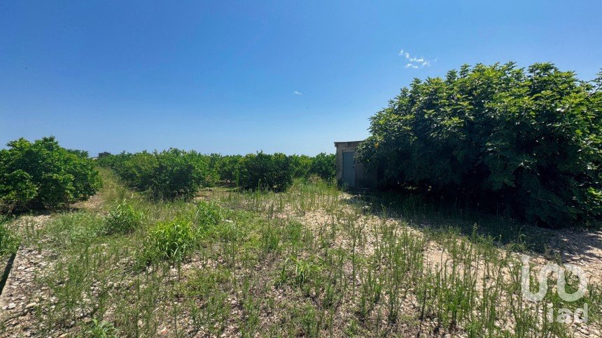 Terreny de 12.671 m² a Pego (03780)