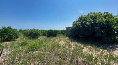 Land of 12,671 m² in Pego (03780)