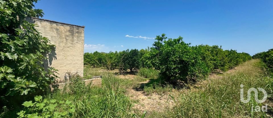 Terreny de 12.671 m² a Pego (03780)