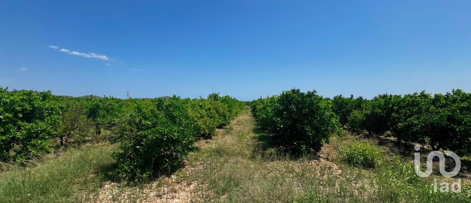 Terreny de 12.671 m² a Pego (03780)