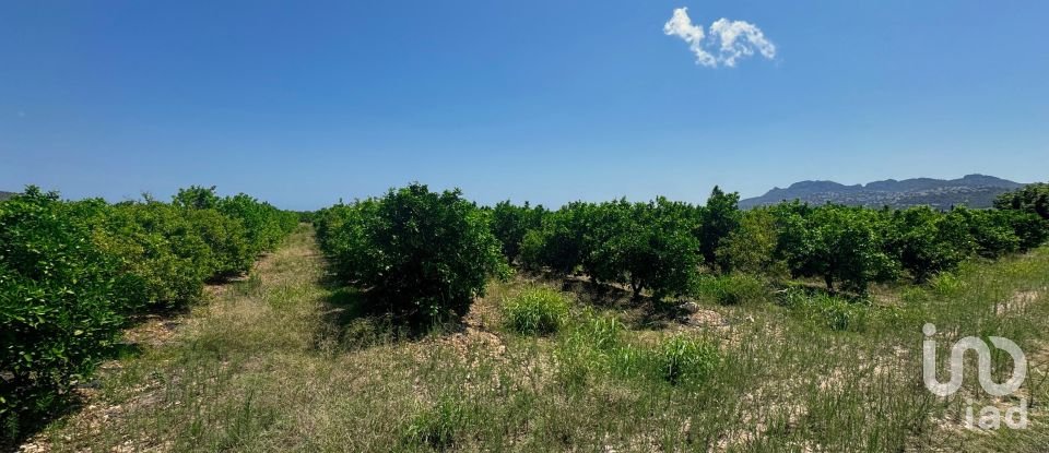 Terreny de 12.671 m² a Pego (03780)