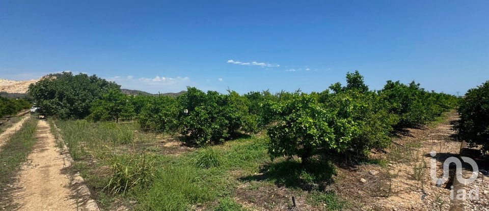 Terreny de 12.671 m² a Pego (03780)