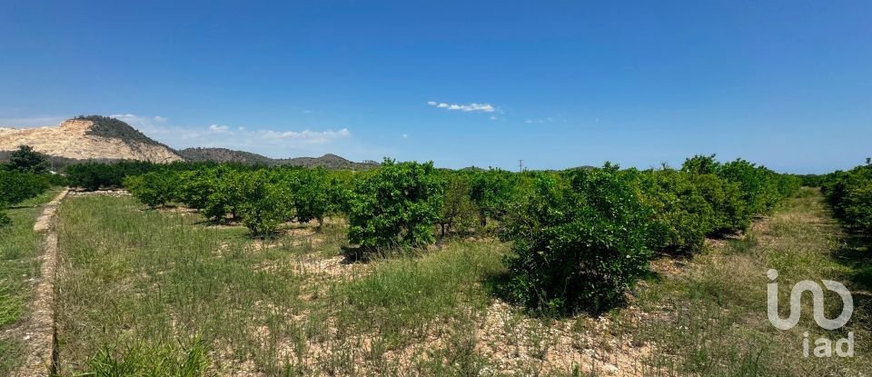 Terreny de 12.671 m² a Pego (03780)