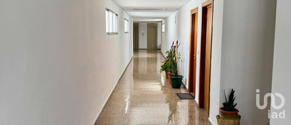 Apartment 3 bedrooms of 124 m² in Alicante/Alacant (03003)