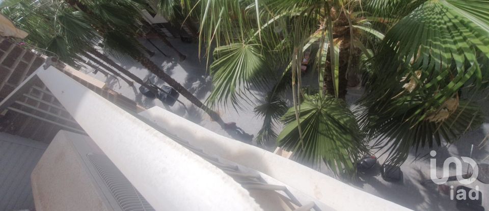 Piso 3 habitaciones de 110 m² en Torrevieja (03181)