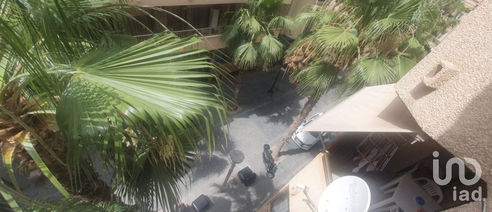 Piso 3 habitaciones de 110 m² en Torrevieja (03181)