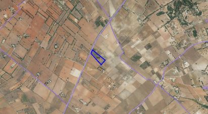 Land of 16,000 m² in Felanitx (07200)