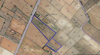 Land of 16,000 m² in Felanitx (07200)